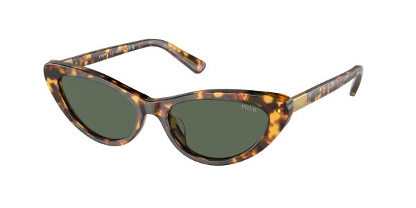 Polo 4199U Sunglasses Online Sale - Image 5