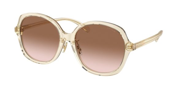 Coach Ch610 8360F Sunglasses Cheap - Image 4