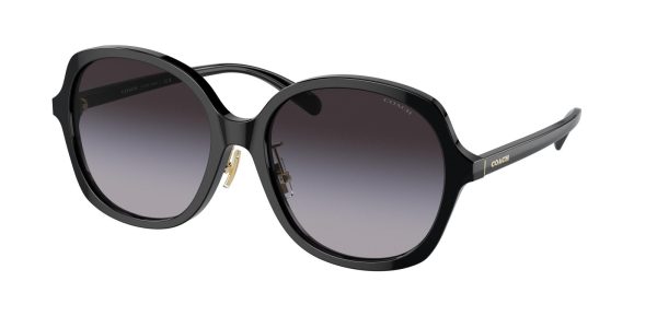 Coach Ch610 8360F Sunglasses Cheap - Image 3