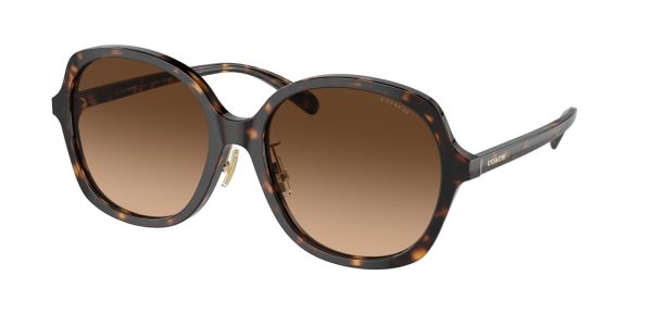 Coach Ch610 8360F Sunglasses Cheap - Image 2