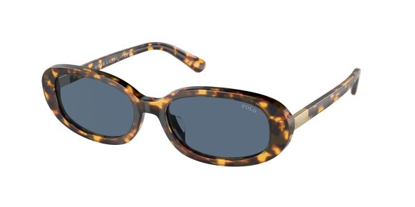 Polo 4198U Sunglasses Sale - Image 4