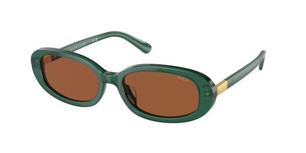Polo 4198U Sunglasses Sale - Image 5