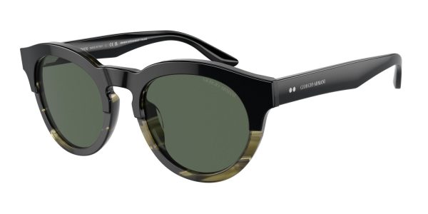 Giorgio Armani 8189U Sunglasses Online Hot Sale