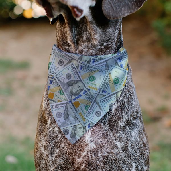 Pet Bandana - Vivid 100 Dollar Bills Stacked Fashion - Image 4
