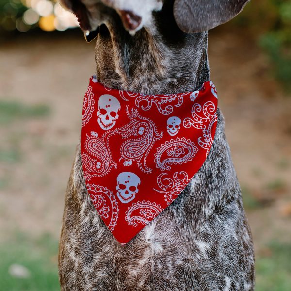 Pet Bandana - Bandana Skulls Red White on Sale - Image 4