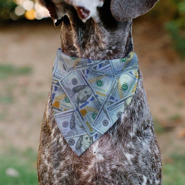 Pet Bandana - Vivid 100 Dollar Bills Stacked Fashion - Image 5